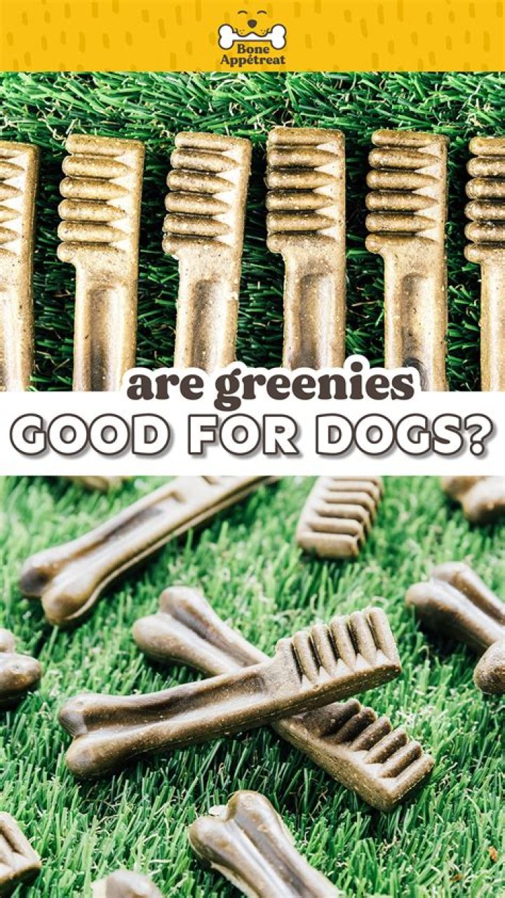 Are Greenies good for dogs?