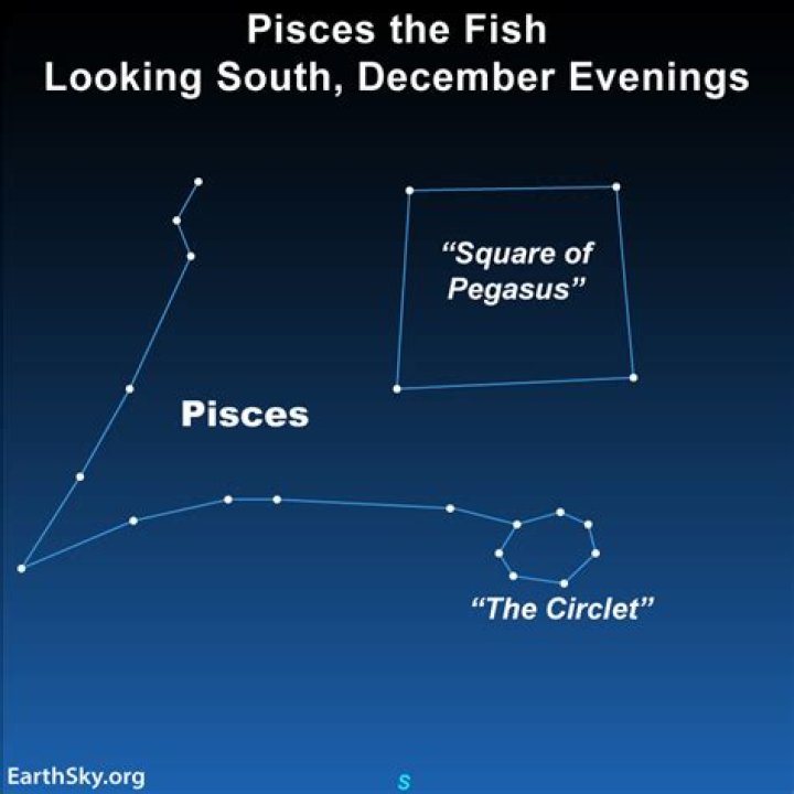 Are Pisces good at singing?