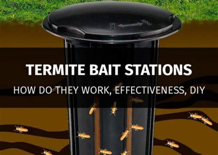 Are termite bait traps effective?