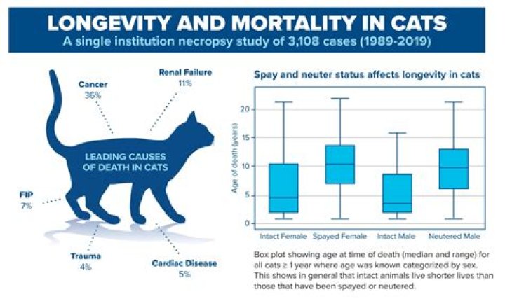 Can I live a normal life with gum disease?