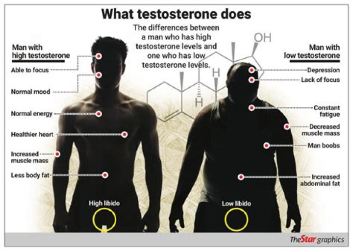 Can male testosterone be increased?
