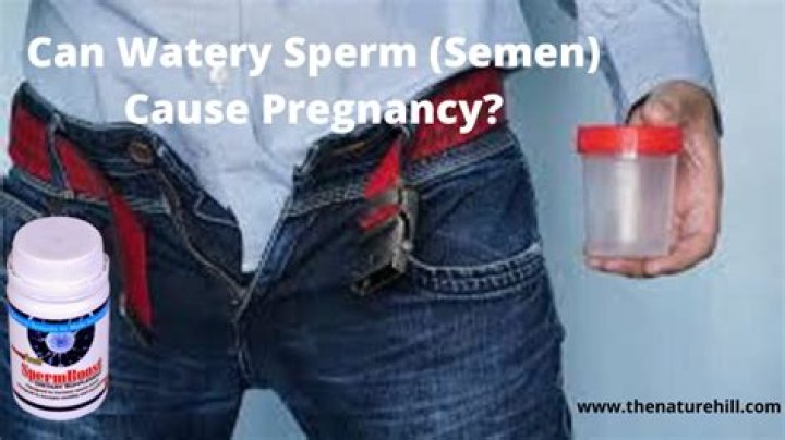 Can watery sperm get a woman pregnant?