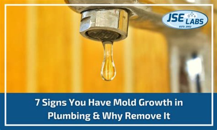 Can you have mold in your water pipes?