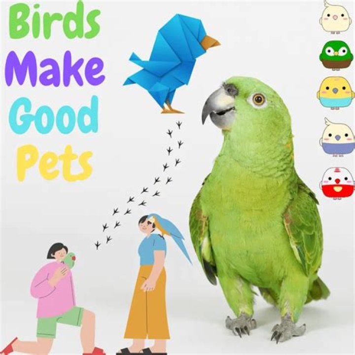 Do birds like being pet?