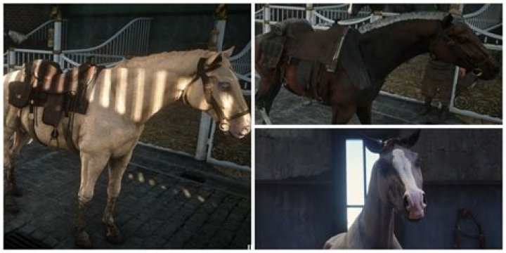 Do braids hurt horses?