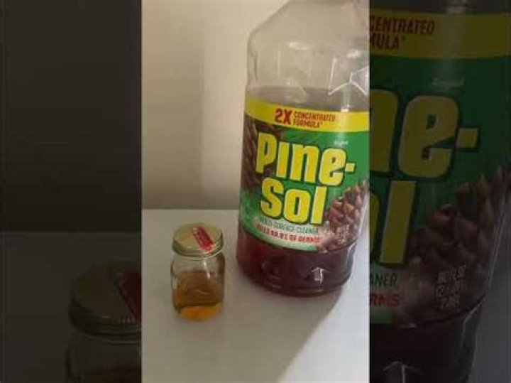 Do fleas hate Pine Sol?