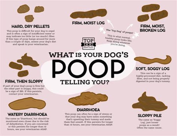 Do germs poop in your mouth?
