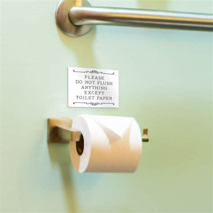 Do Japanese use toilet paper?