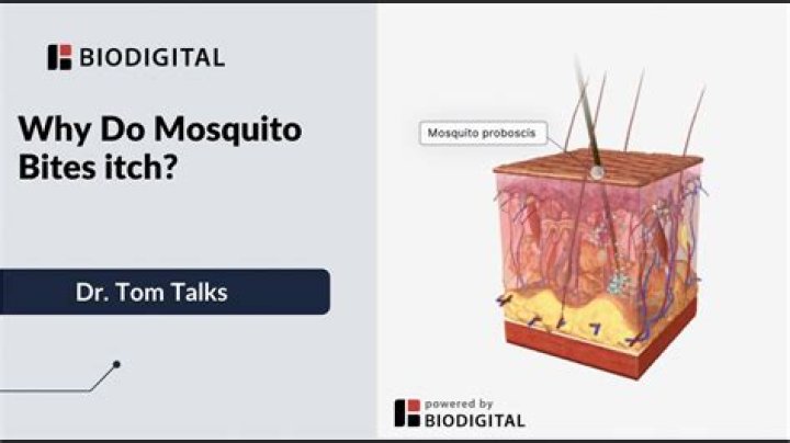 Do mosquitoes bite ducks?