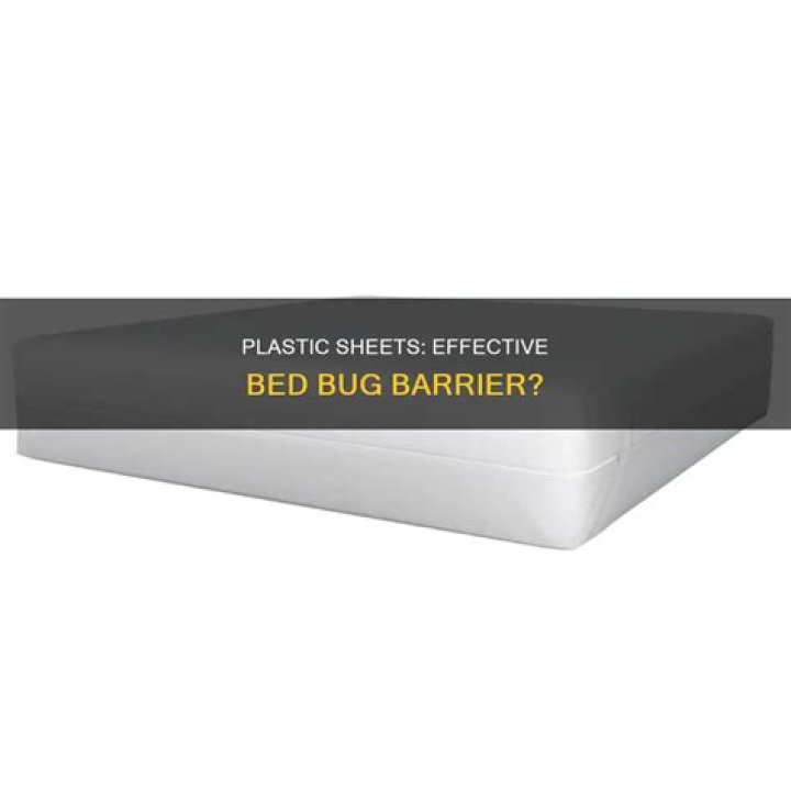 Do plastic sheets stop bed bugs?