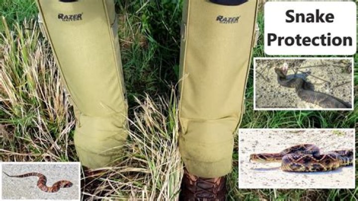 Do rubber boots stop snake bites?