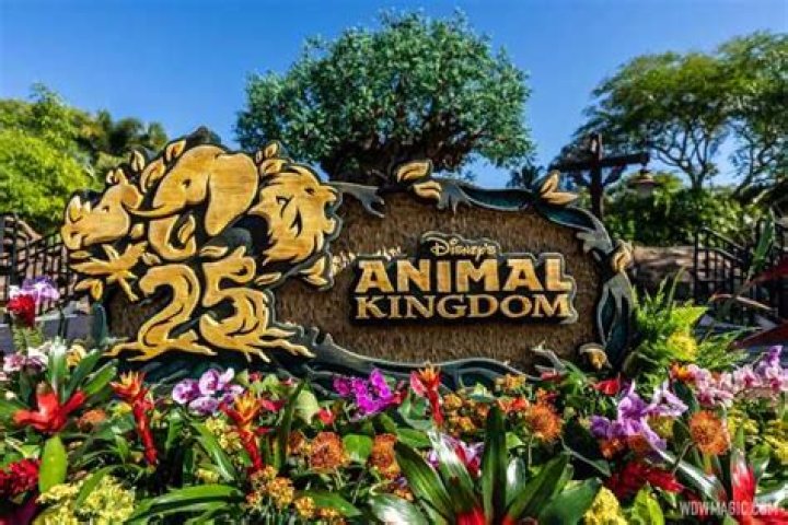 Do you need a full day at Animal Kingdom?