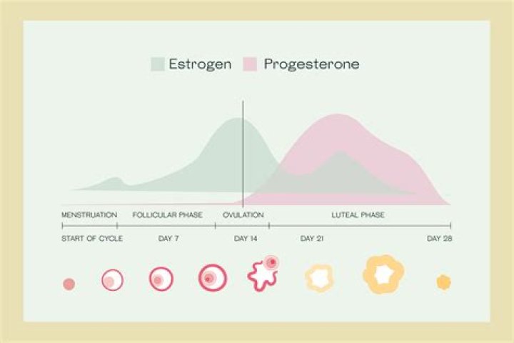Does smoking affect progesterone levels?