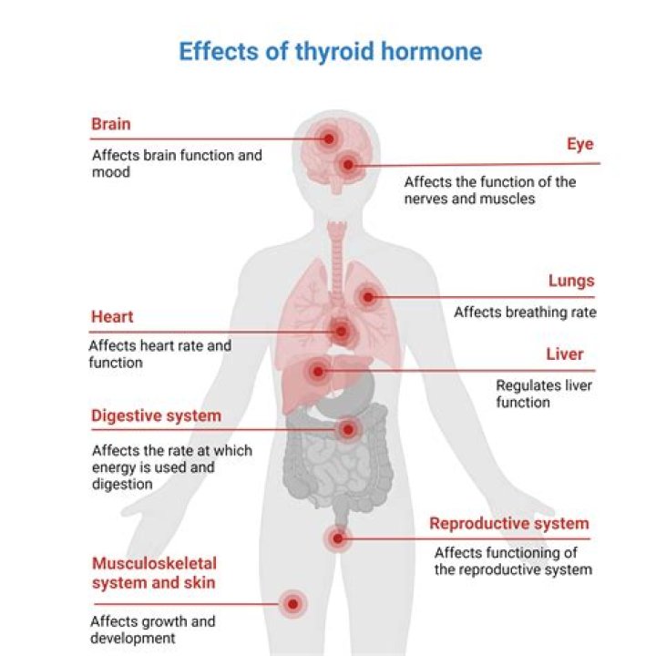 Does thyroid affect memory?