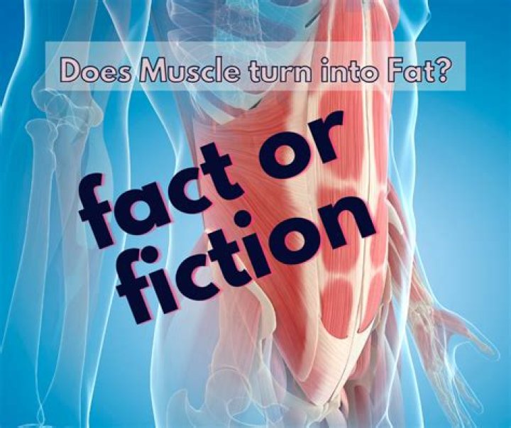 Does walking turn fat into muscle?