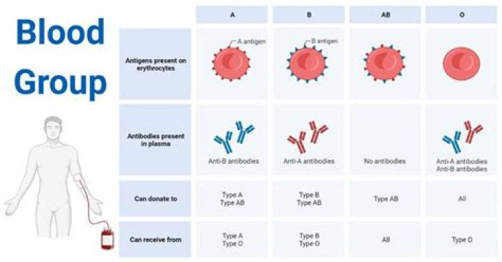 How common is blood group A negative?