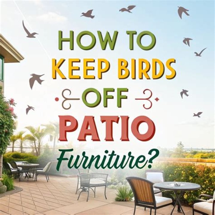 How do I keep birds off my patio back?