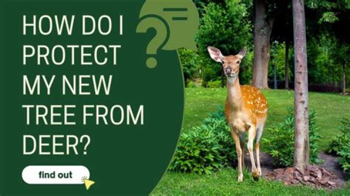 How do I protect my UPI ID?