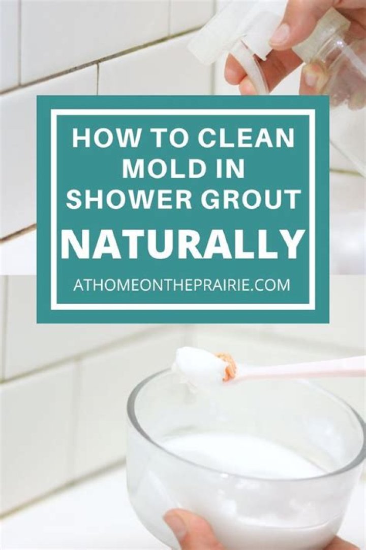 How do you get mold out of shower grout naturally?