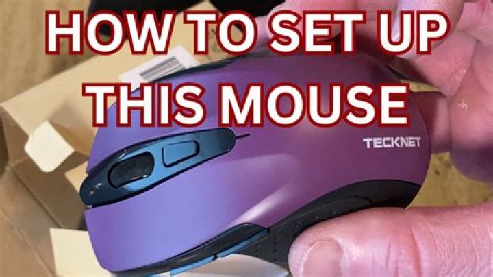 How do you get your mouse to trust you?