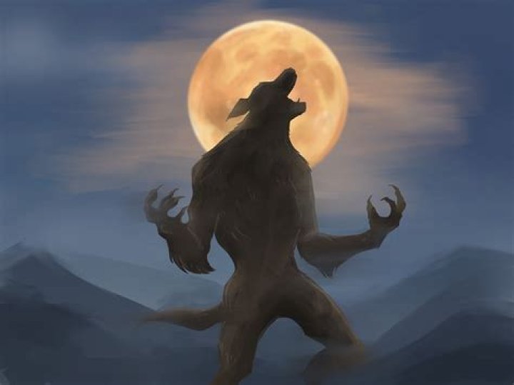 How do you know if someone is a werewolf?