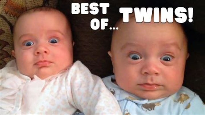 How do you make twin babies?