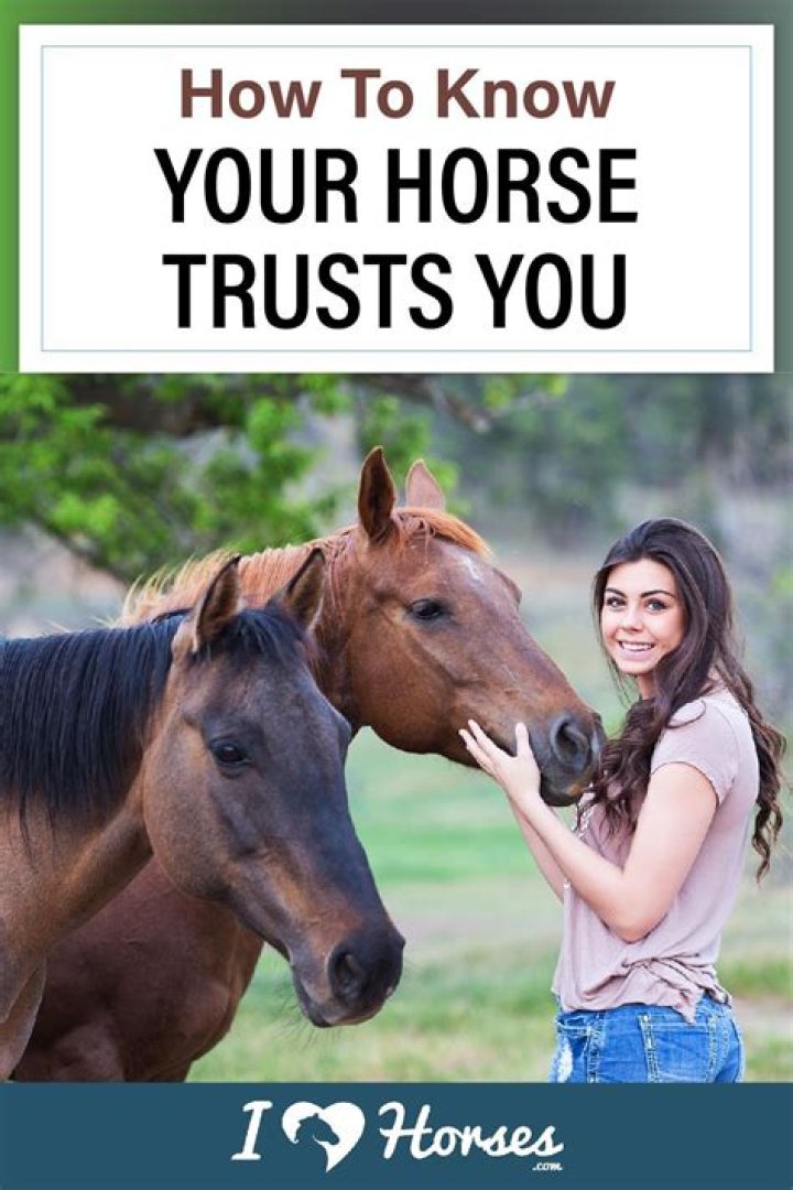 How do you tell if your horse trusts you?