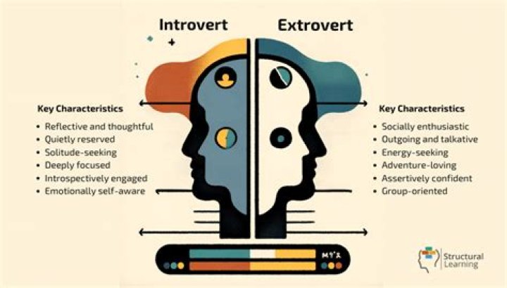 How is an introvert person?