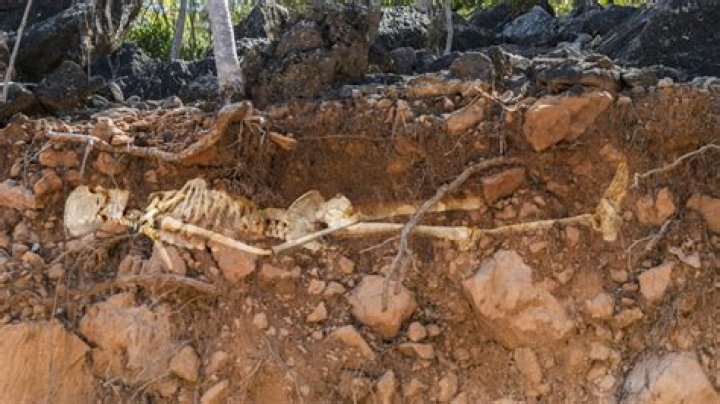 How long does it take a body to decompose in a coffin?