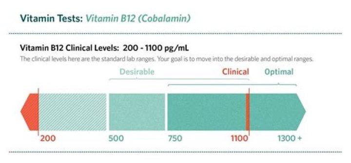 How long does it take to get your B12 levels up?