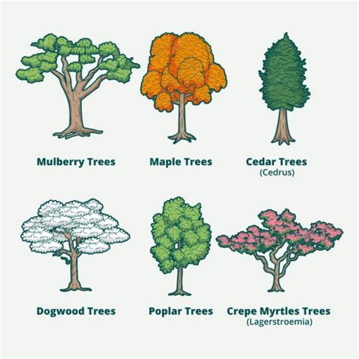 How many tree are in the world?