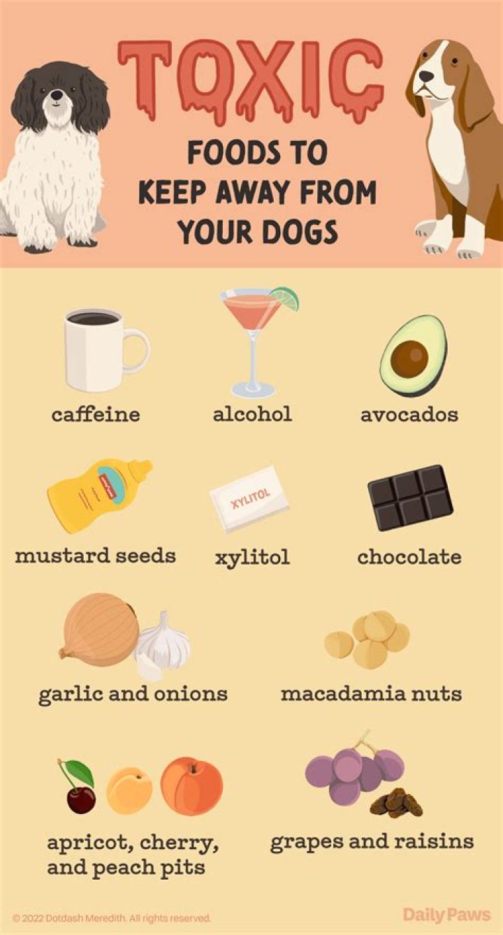 How much coffee is toxic to dogs?