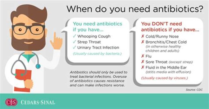 How much should I eat before taking antibiotics?