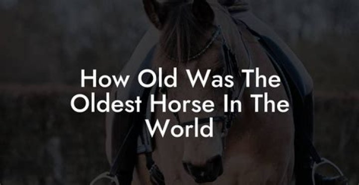 How old is the oldest horse?