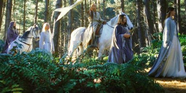 How old was Gimli when he went to the undying lands?