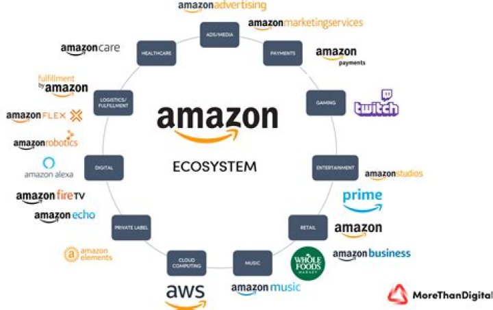 Is Amazon a platform?