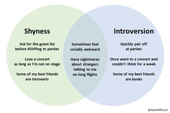 Is being an introvert a weakness?