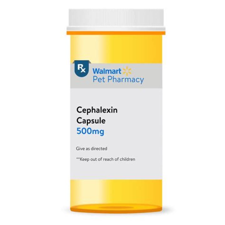 Is cephalexin safe for kidneys?