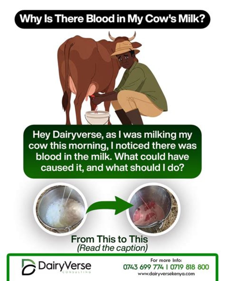 Is crop milk blood?