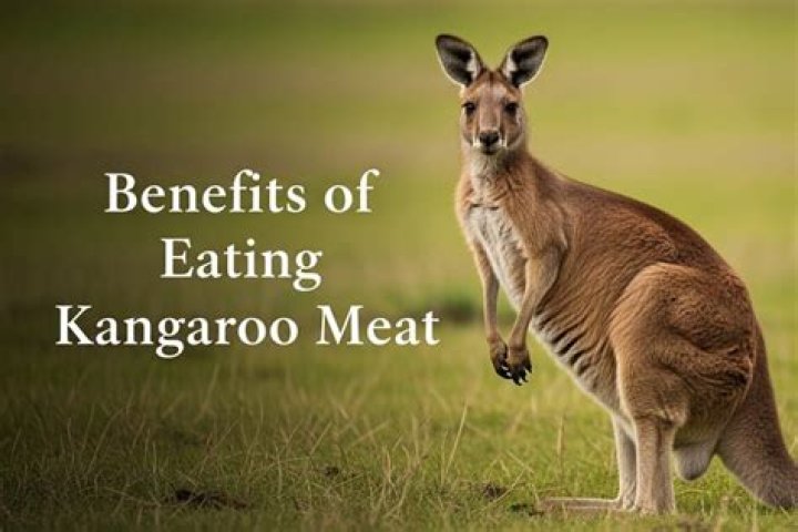 Is kangaroo meat tasty?