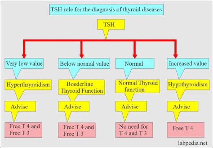 Is levothyroxine as good as Synthroid?