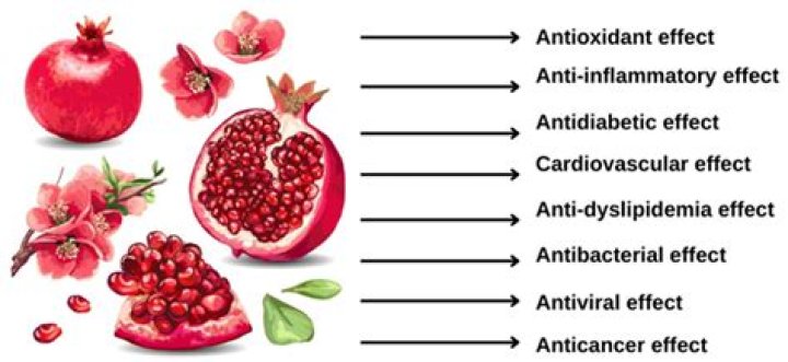 Is pomegranate good for thyroid?