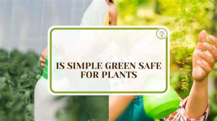 Is Simple Green safe for tires?