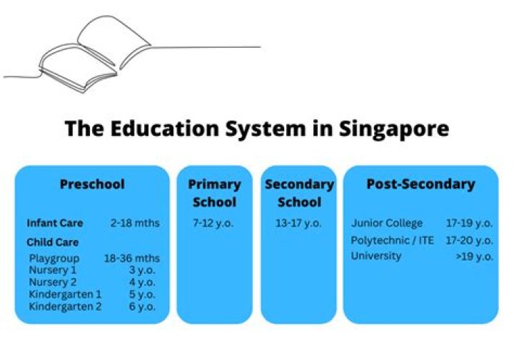 Is Singapore education free?