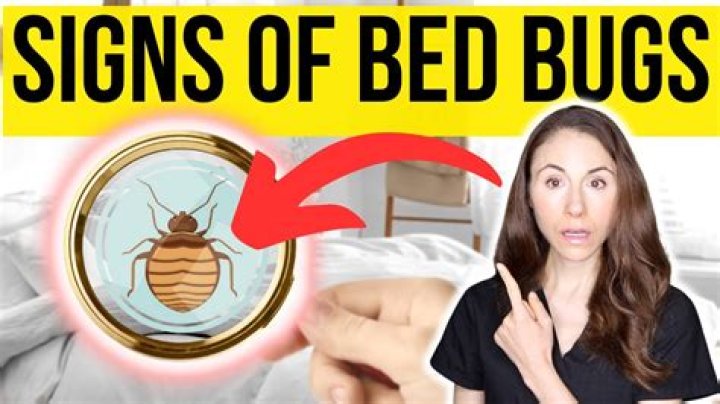 What's the chances of getting bed bugs?