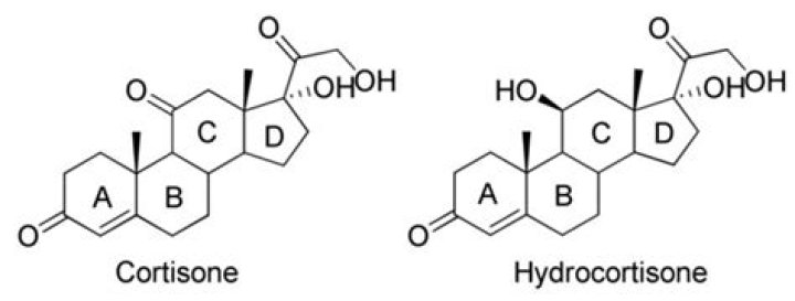 What's the difference between cortisone and hydrocortisone?