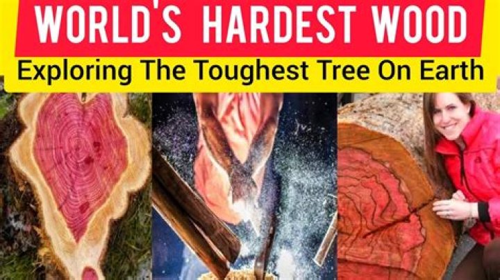 What's the hardest wood to split?