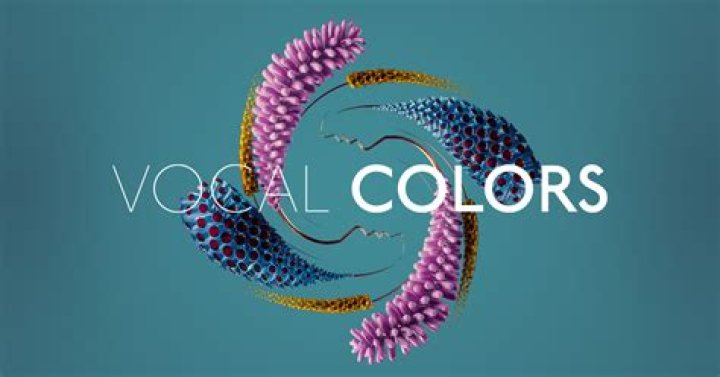 What are vocal colors?