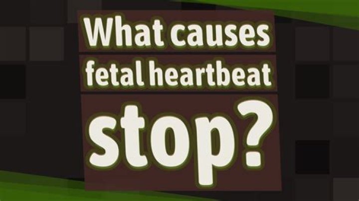 What causes fetal heartbeat stop?
