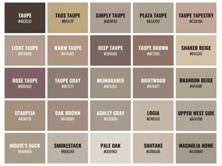What color is taupe?